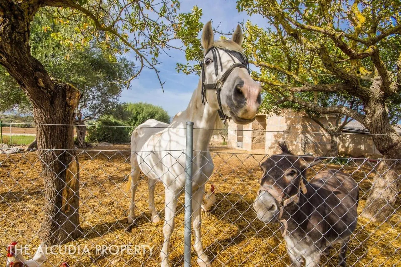 Finca Pegasus Alcudia  Spain