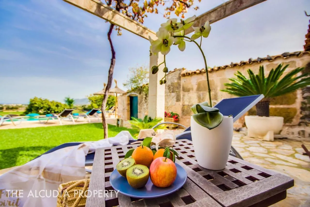Finca Pegasus Alcudia