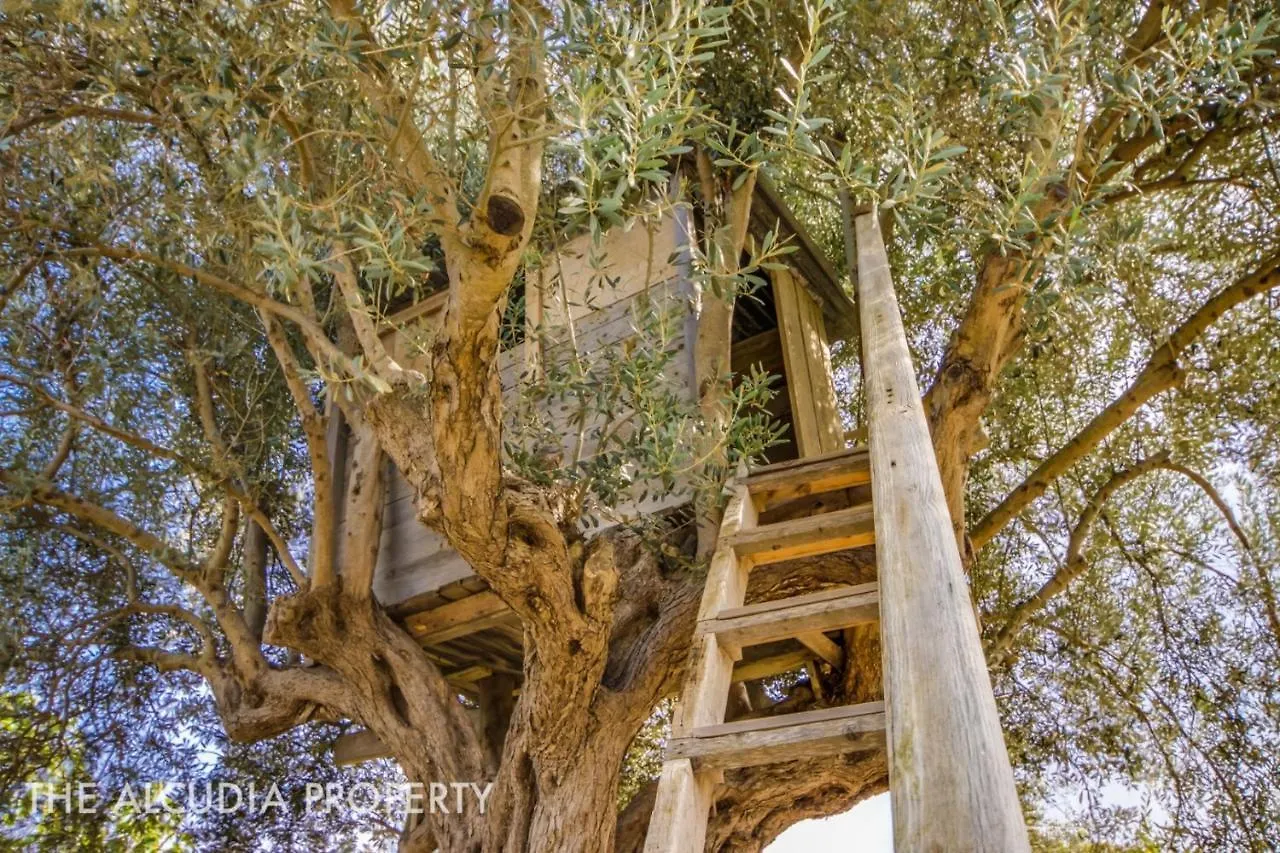 Country house Finca Pegasus Alcudia  Spain